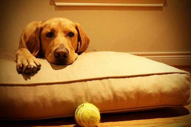 via. Flickr