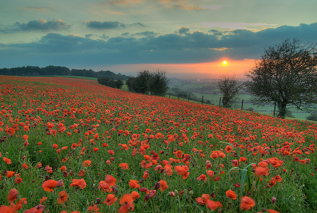 Via Flickr