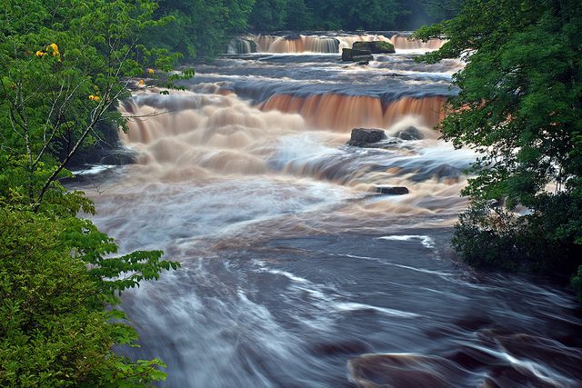 Picture via Flickr.