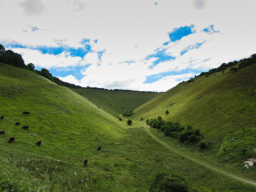 Devils Dyke in Suffolk