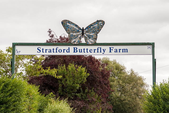 Stratford Butterfly Farm
