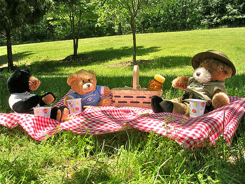 Teddy Bears Picnic