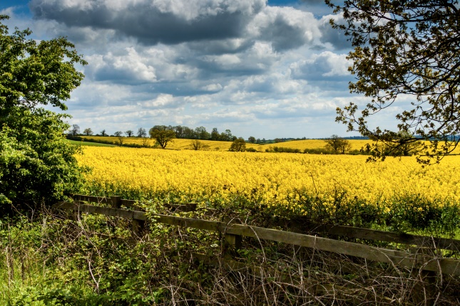 British countryside