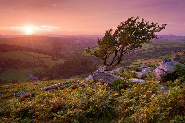 Dartmoor- Via Flickr