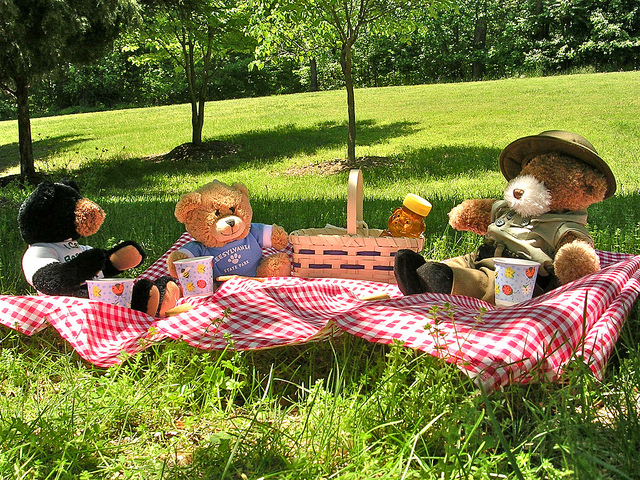 Picture via Flickr.