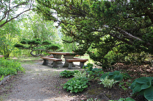 Image of a bench and trees, the ideal place to stop off on a long journey.