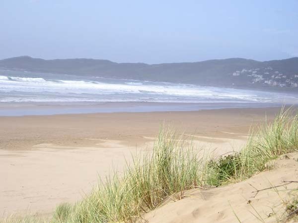 Devon Beach
