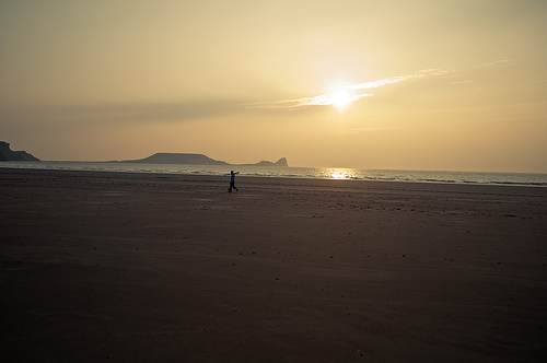 Dog Friendly Places To Eat In The Gower Dog Friendly Places To Eat In The Gower