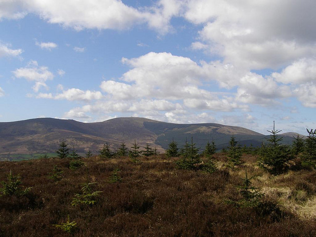 Blackstairs Mountain- Via Flickr