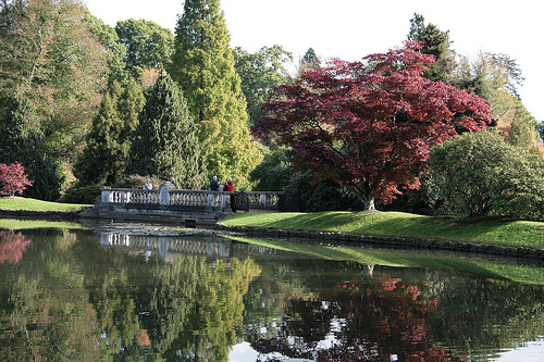 Sheffield Park and Gardens