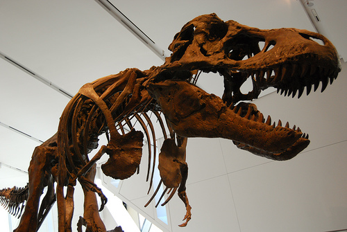 Dinosaur Isle