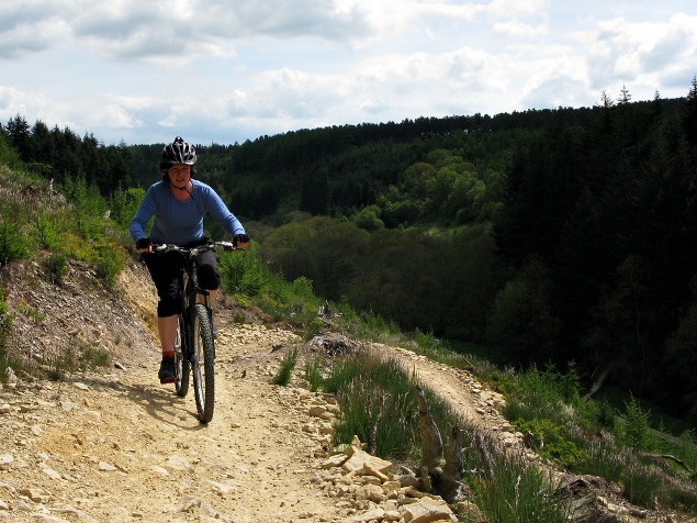 Dalby Forest