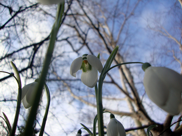 Image | by Cait_Stewart | CC BY