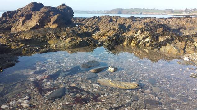 Beach in Cornwall
