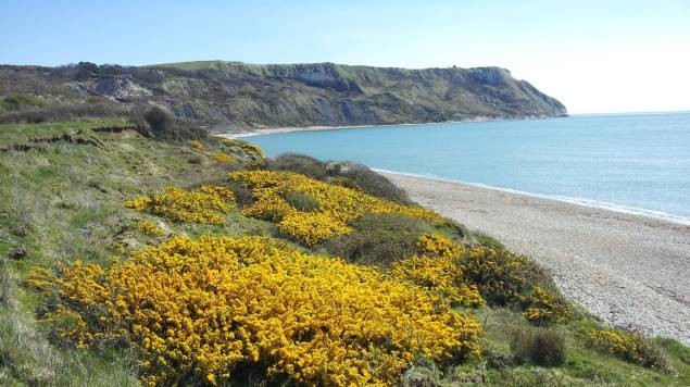 Beach in Dorset