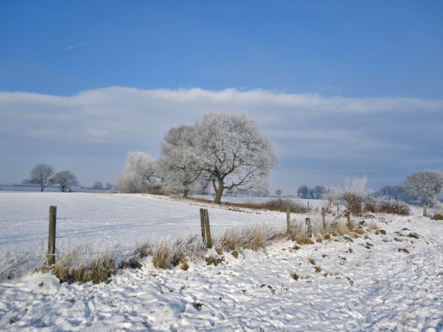Winter in Cheshire