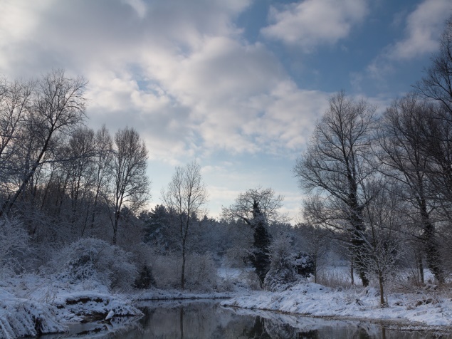 Winter in Norfolk