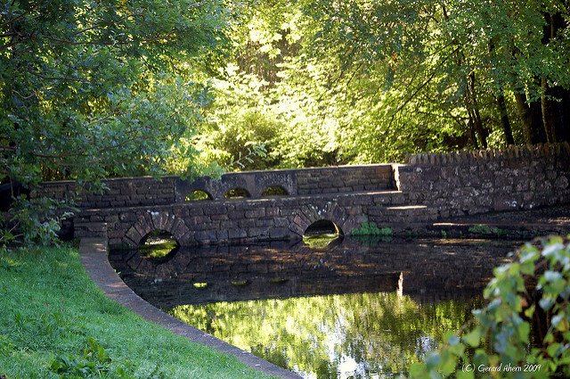 Grassy bank with over hanging trees, stone bridge over a reflective pond