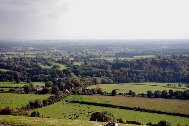 View over the Surrey hills; open countryside.
