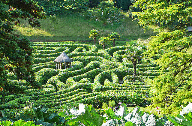 The Maze at Glendurgan by Tim Green is licensed under CC BY 2.0