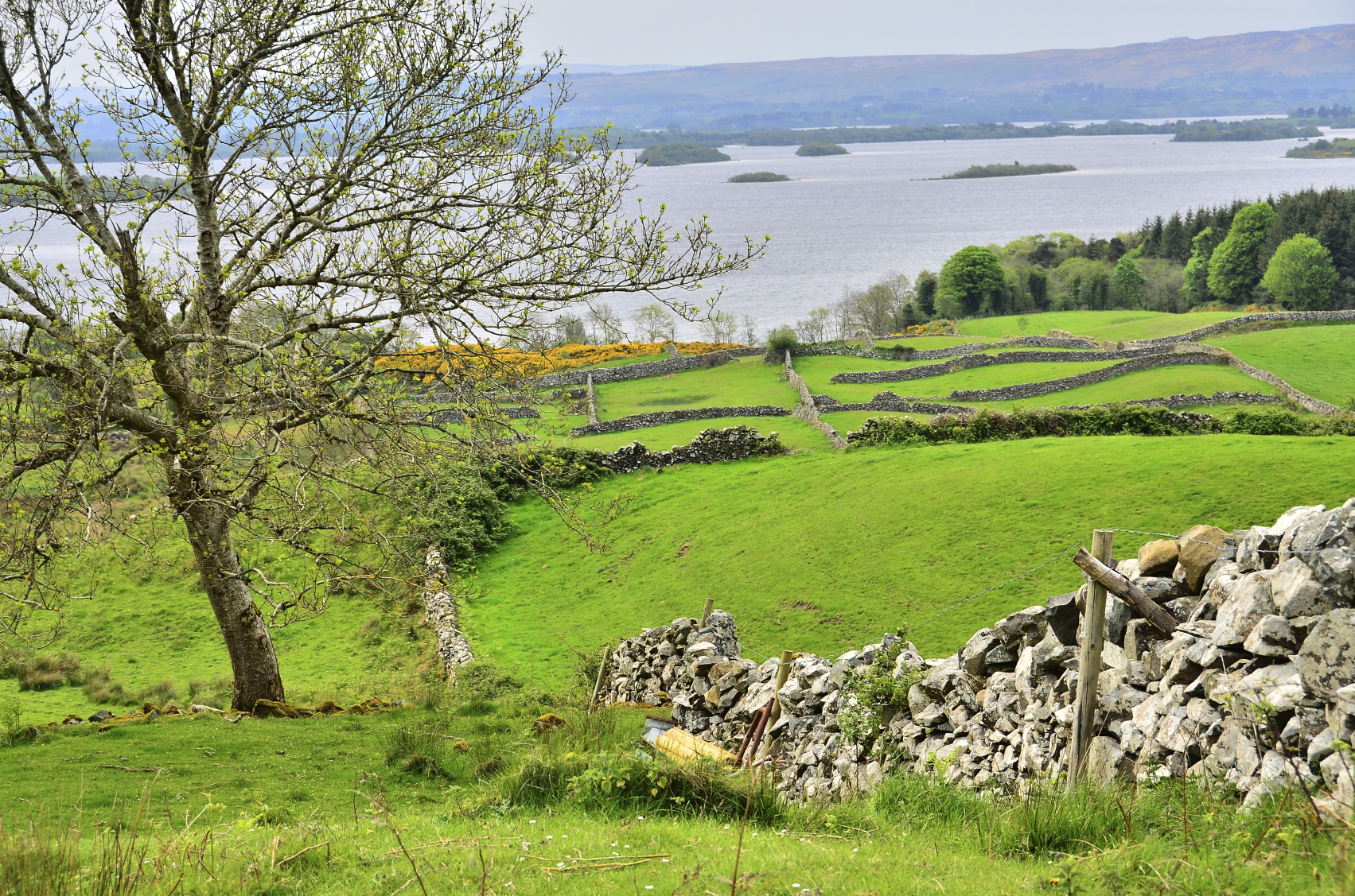 Last minute deals holiday cottages lake district