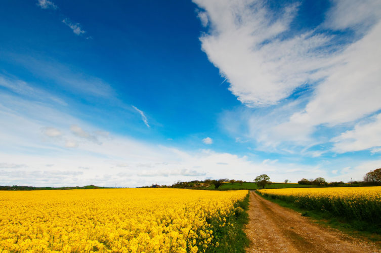 Yorkshire Countryside