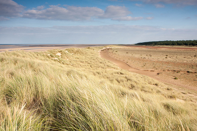 Dog Friendly Cottages Formby Dog Friendly Cottages Formby