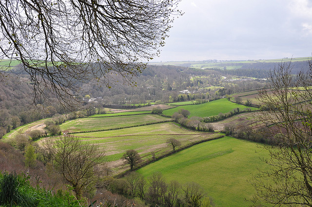 Devonshire Countryside by Michael Gwyther-Jones is licensed under CC 2.0