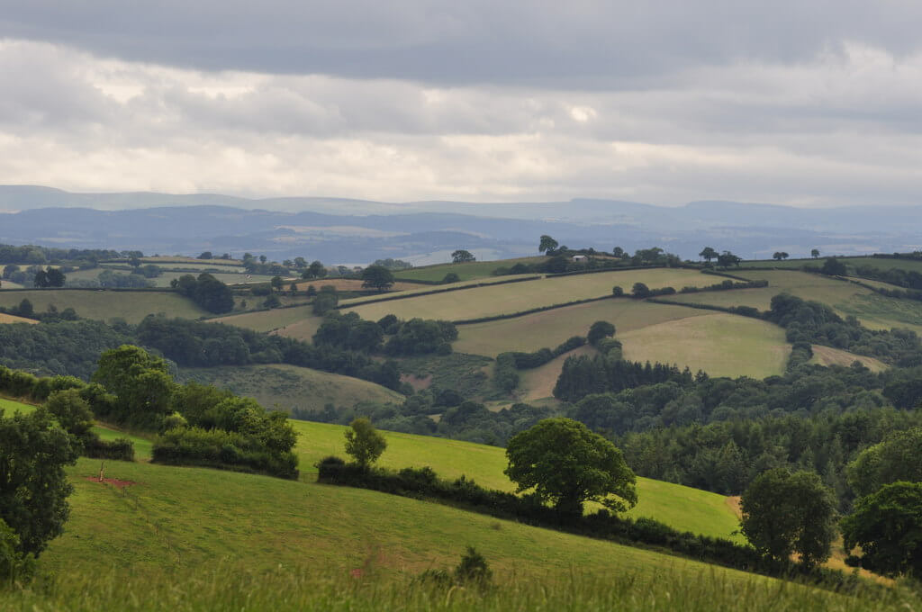 Devon Countryside