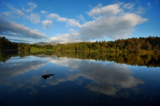 Lake at Tarn Hows