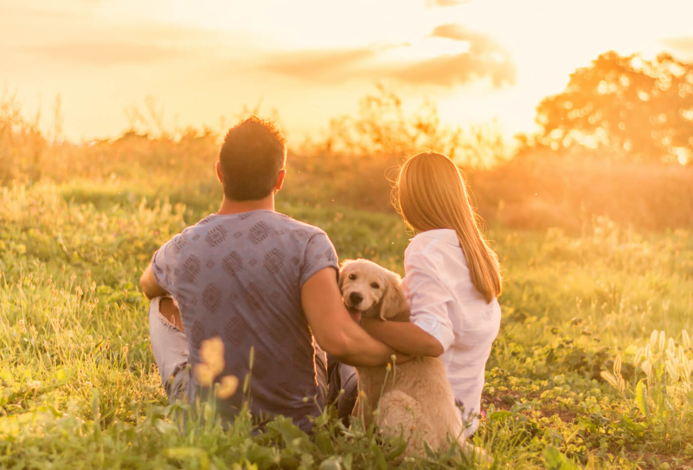 Dog Friendly Breaks Near Me Dog Friendly Breaks Near Me