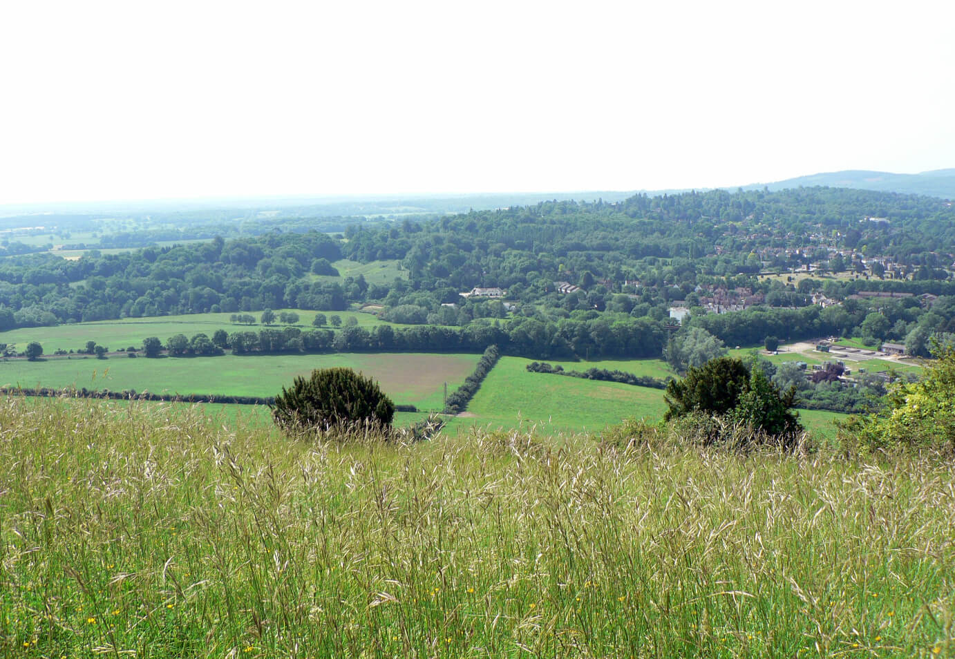 Walk of the Month Box Hill Stepping Stones Sykes Holiday Cottages