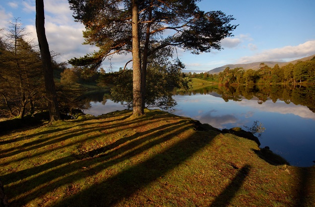 Tarn Hows, Lake District