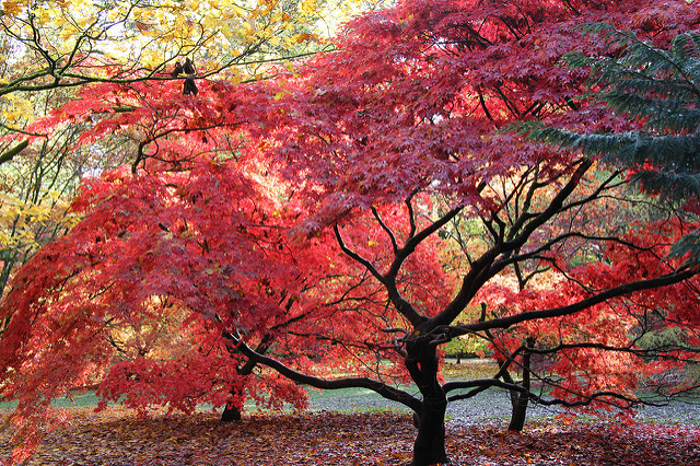 Where to See Autumn Colours in the UK - Sykes Holiday Cottages