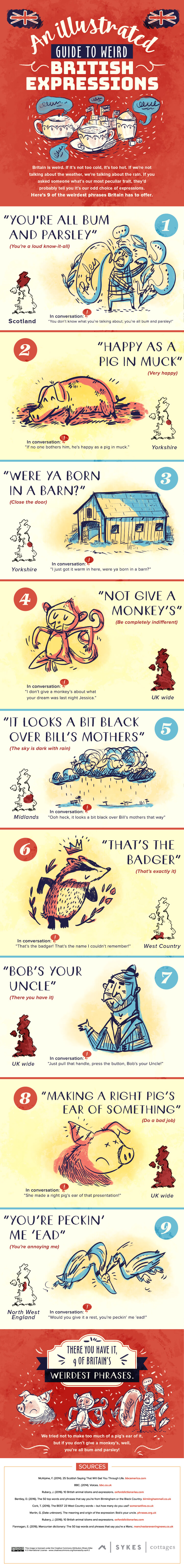 An Illustrated Guide to Weird British Expressions - Sykes Holiday Cottages