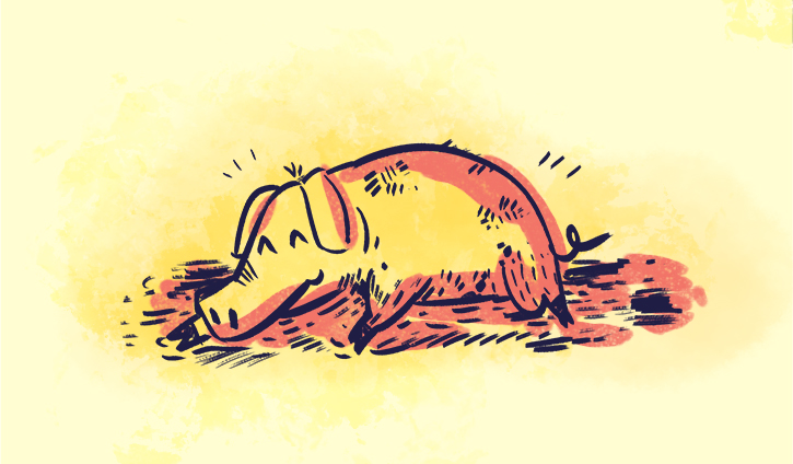 happy-as-a-pig-in-muck