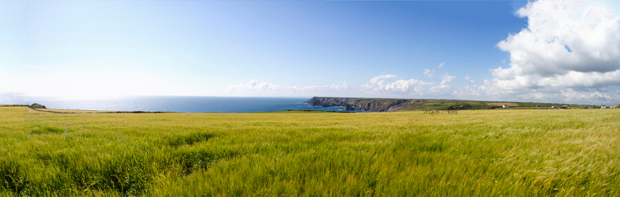 South Cornwall scenery