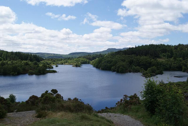 Llyn Elsi Dog walk