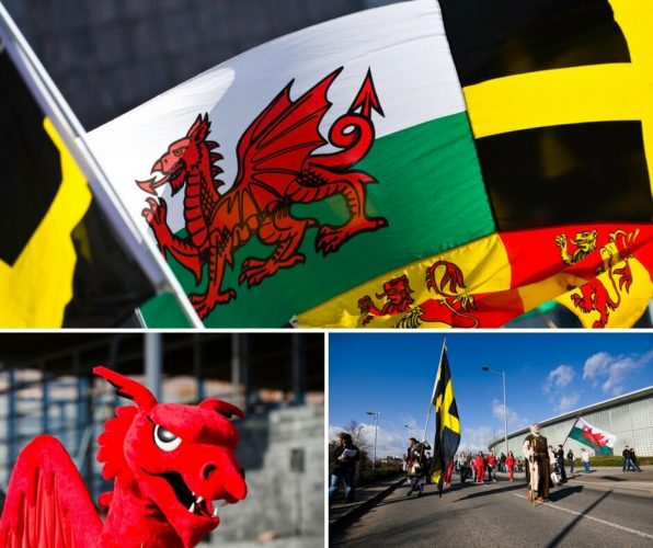 St David's Day Flags