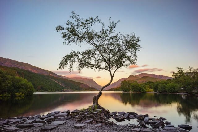 llyn padarn