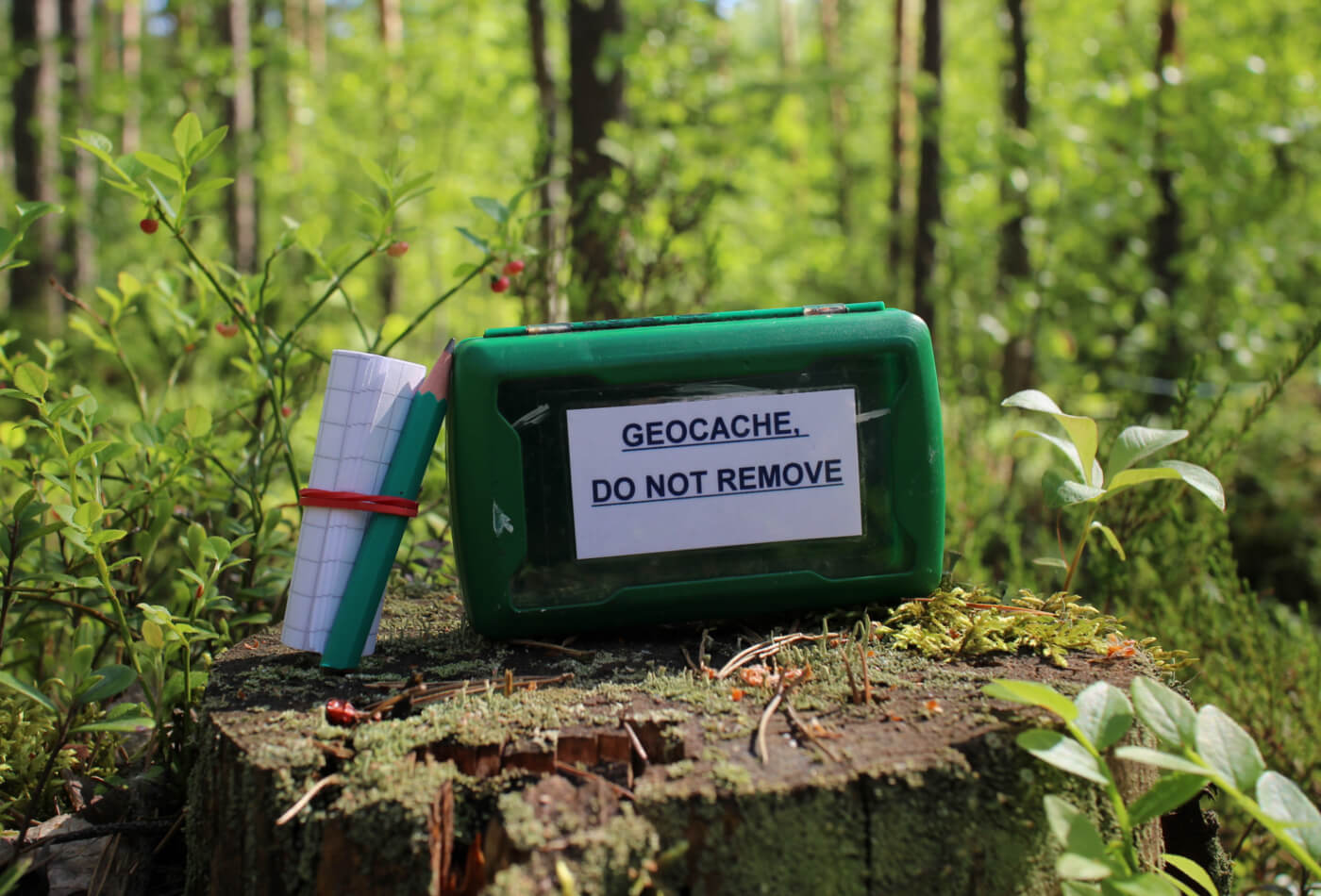 Geocaching Treasure Hunting in Devon Sykes Cottages
