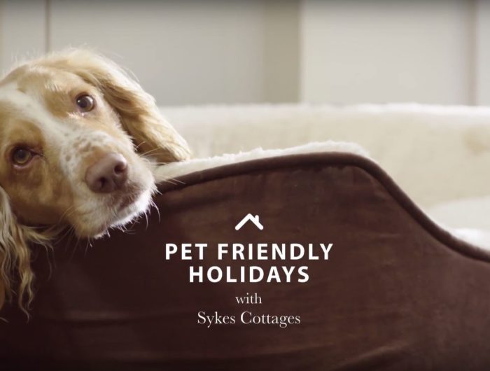 pet friendly holidays - sykes cottages