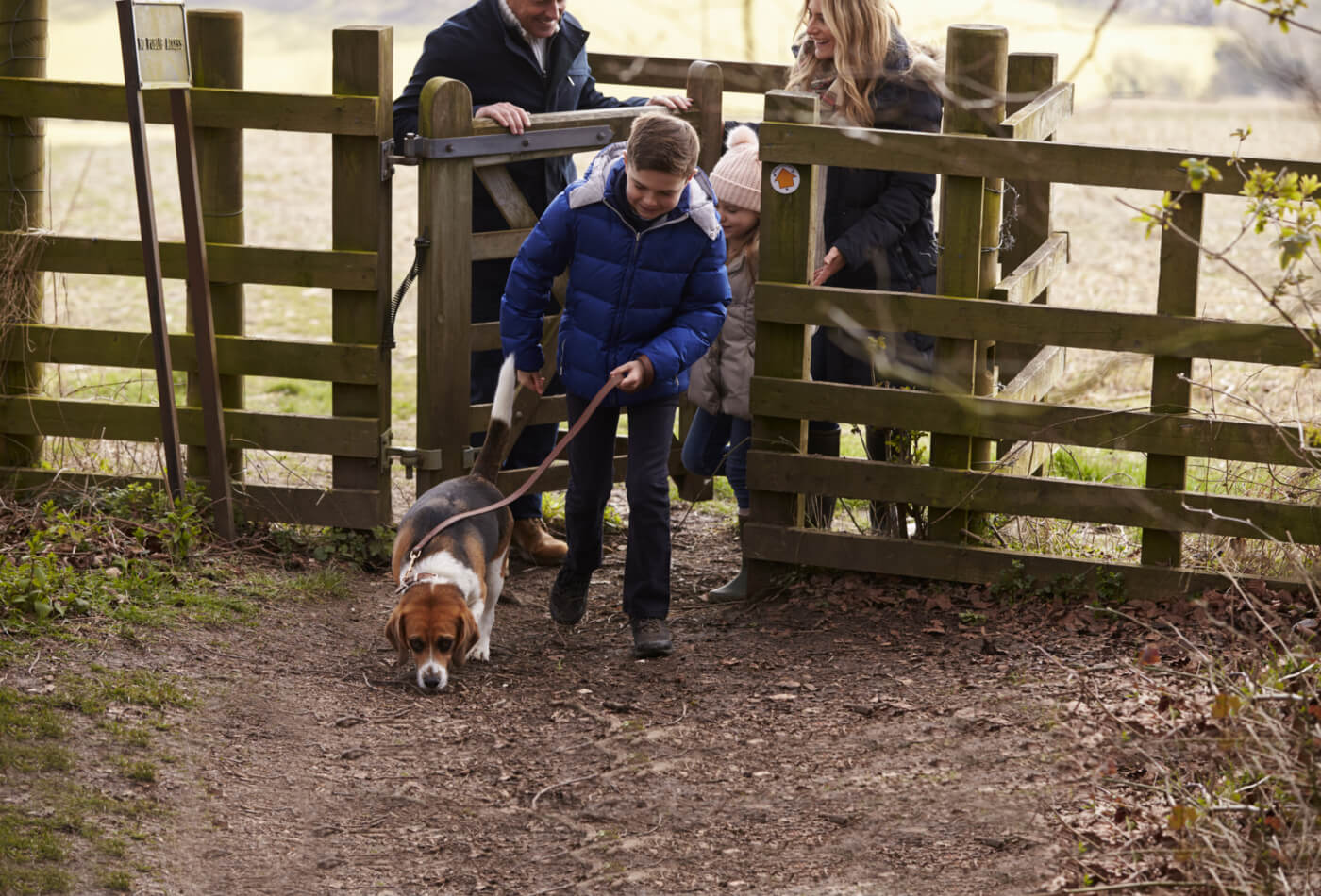 Dog friendly walks in dorset