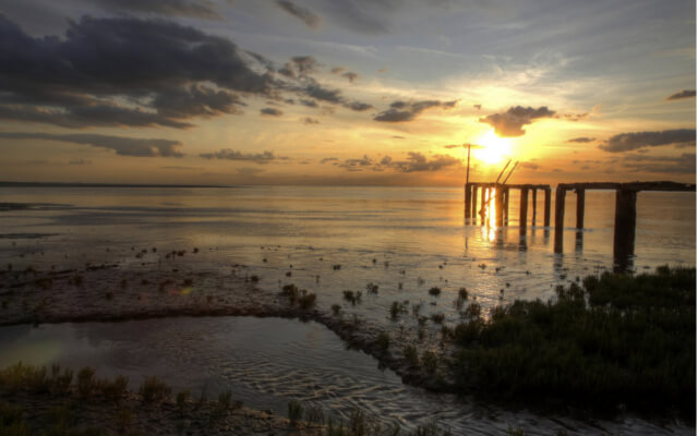 Snettisham Beach Dog Friendly Snettisham Beach Dog Friendly
