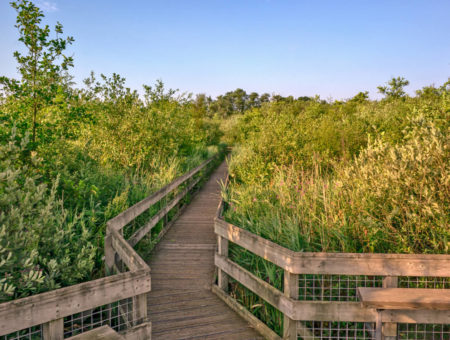 norfolk nature reserves and wildlife