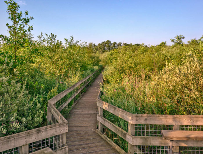 norfolk nature reserves and wildlife