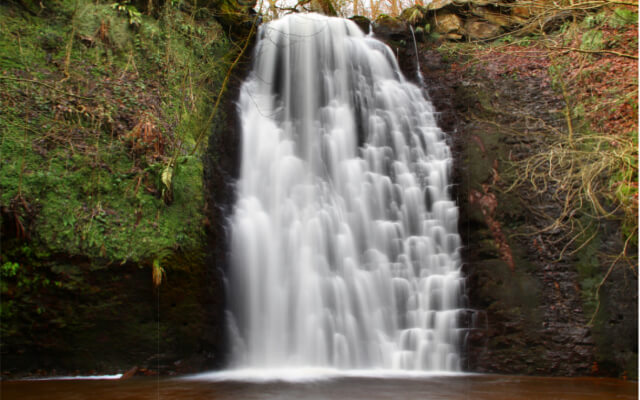 Dog-Friendly Walks Around Whitby - May Beck and Falling Foss