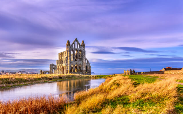 Dog-Friendly Walks Around Whitby - Whitby Abbey and the coast