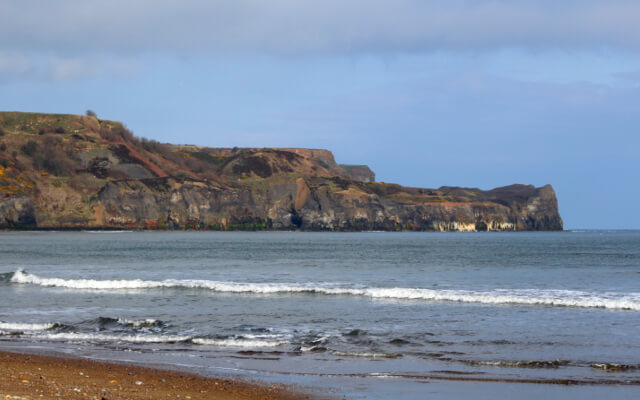 Dog-Friendly Walks Around Whitby - Whitby to Sandsend