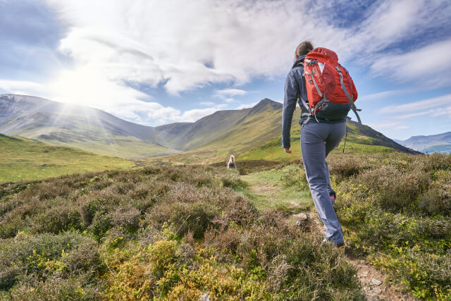 Lake District walks